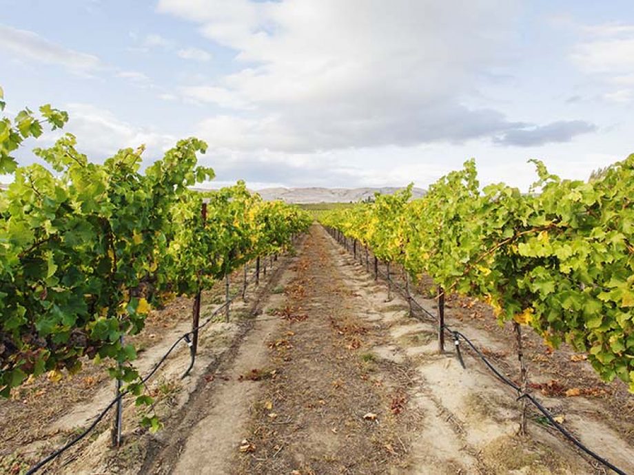 New Homes in Ahtanum Estates Yakima, Washington